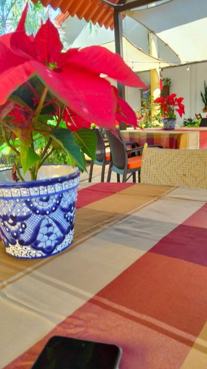Quinta Rosita Bed & Breakfast Ticul Luaran gambar