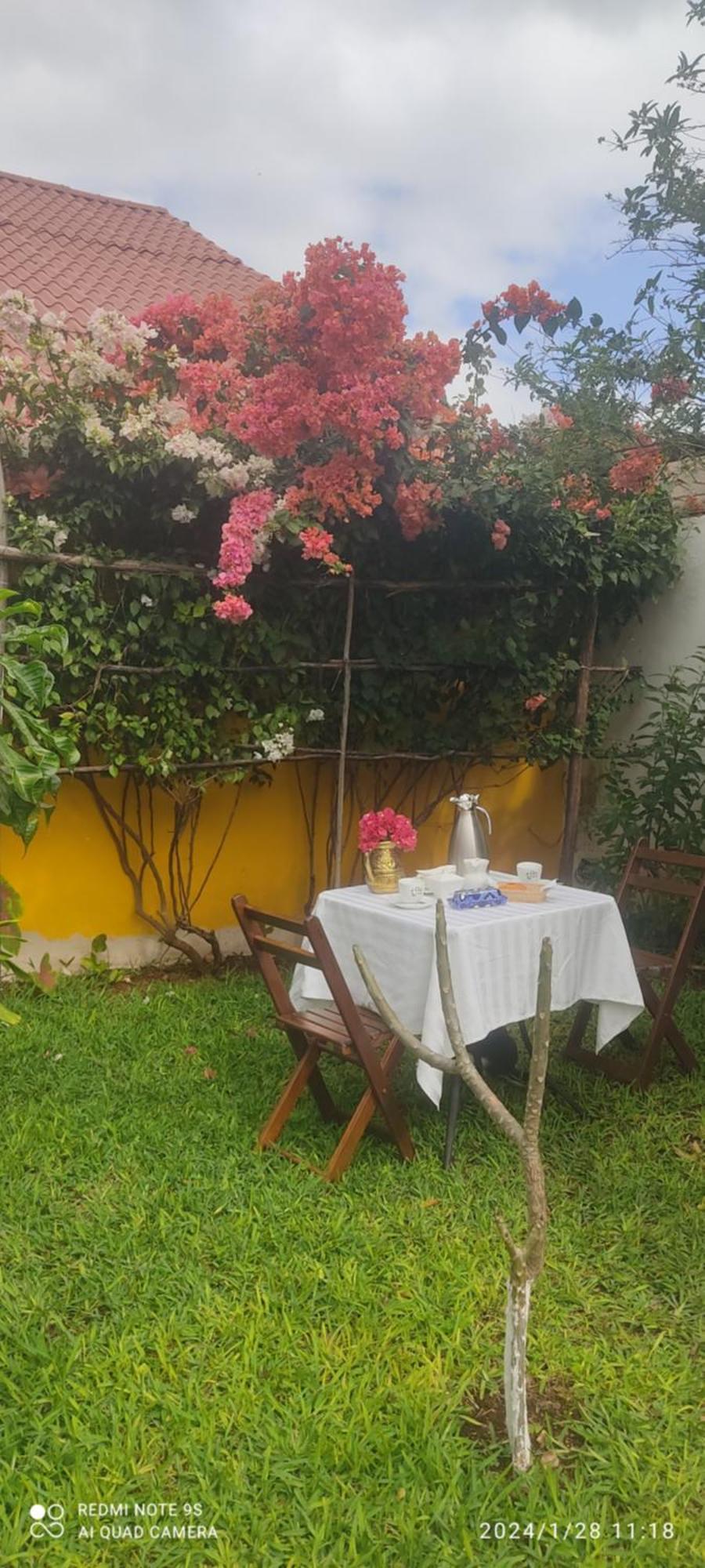 Quinta Rosita Bed & Breakfast Ticul Luaran gambar