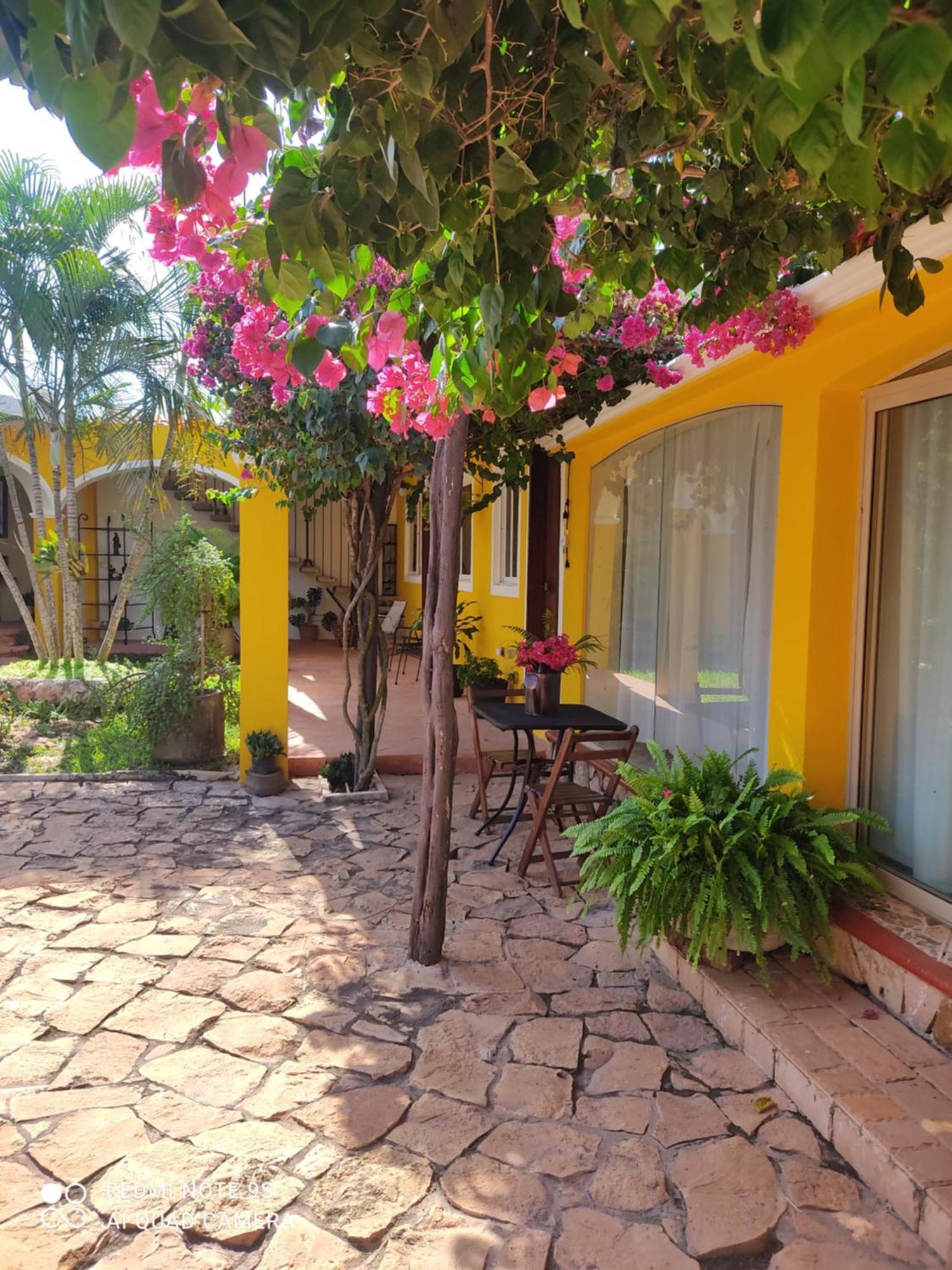 Quinta Rosita Bed & Breakfast Ticul Luaran gambar