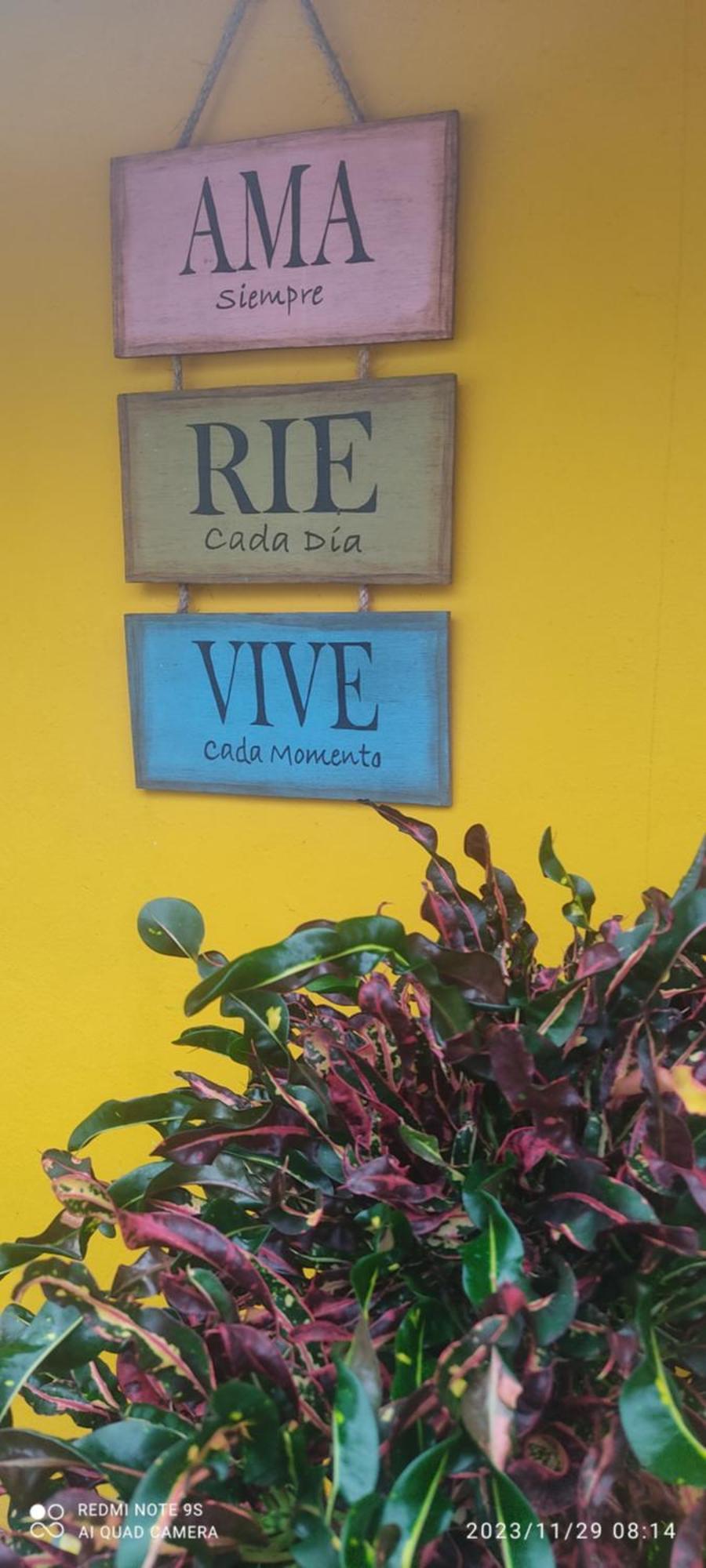 Quinta Rosita Bed & Breakfast Ticul Luaran gambar