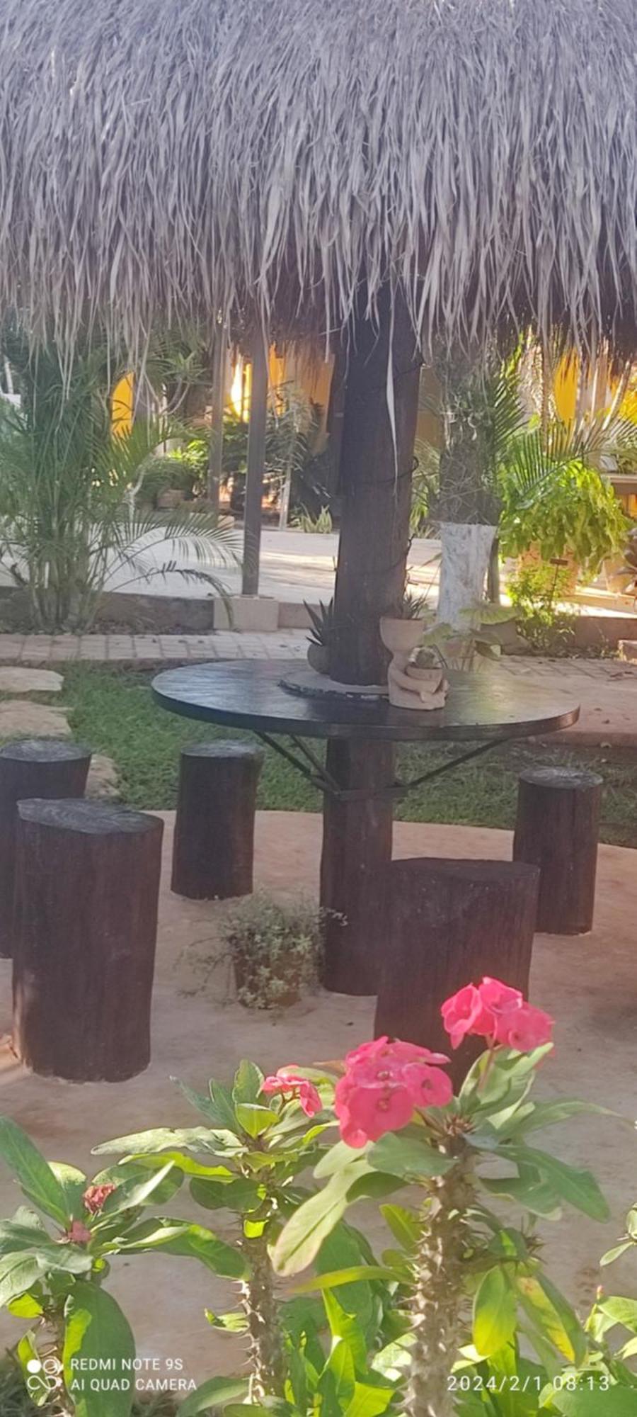 Quinta Rosita Bed & Breakfast Ticul Luaran gambar