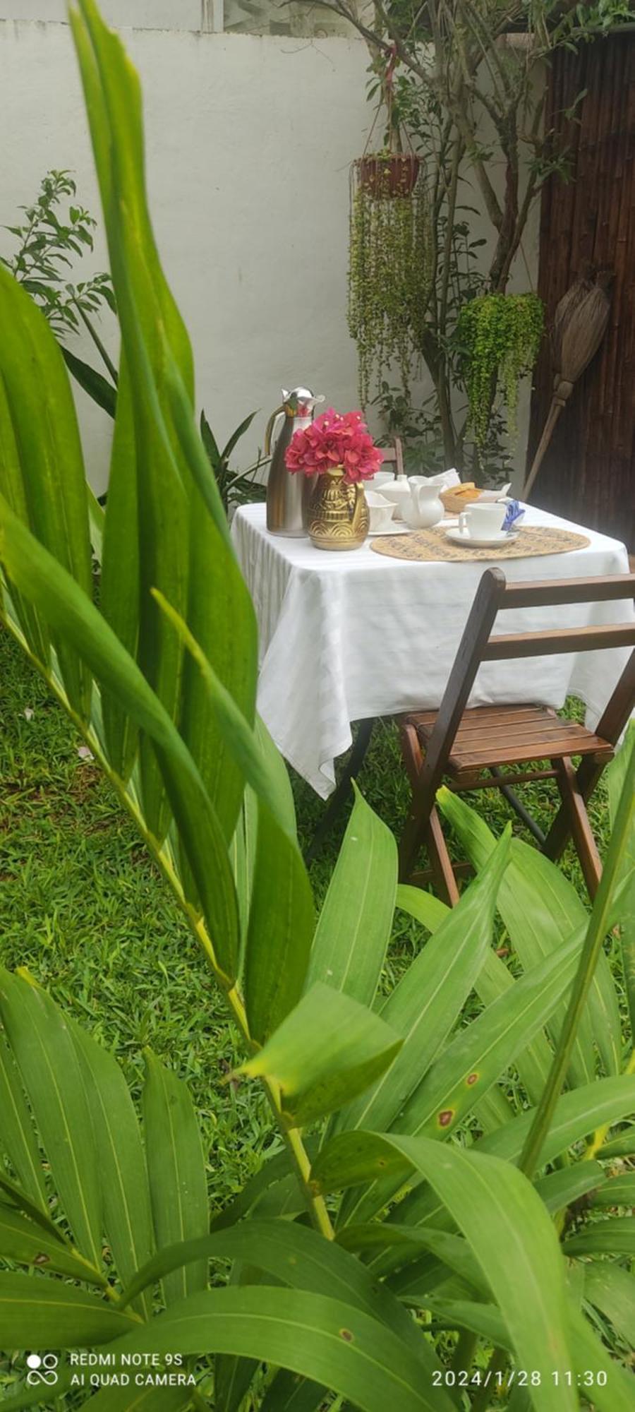 Quinta Rosita Bed & Breakfast Ticul Luaran gambar