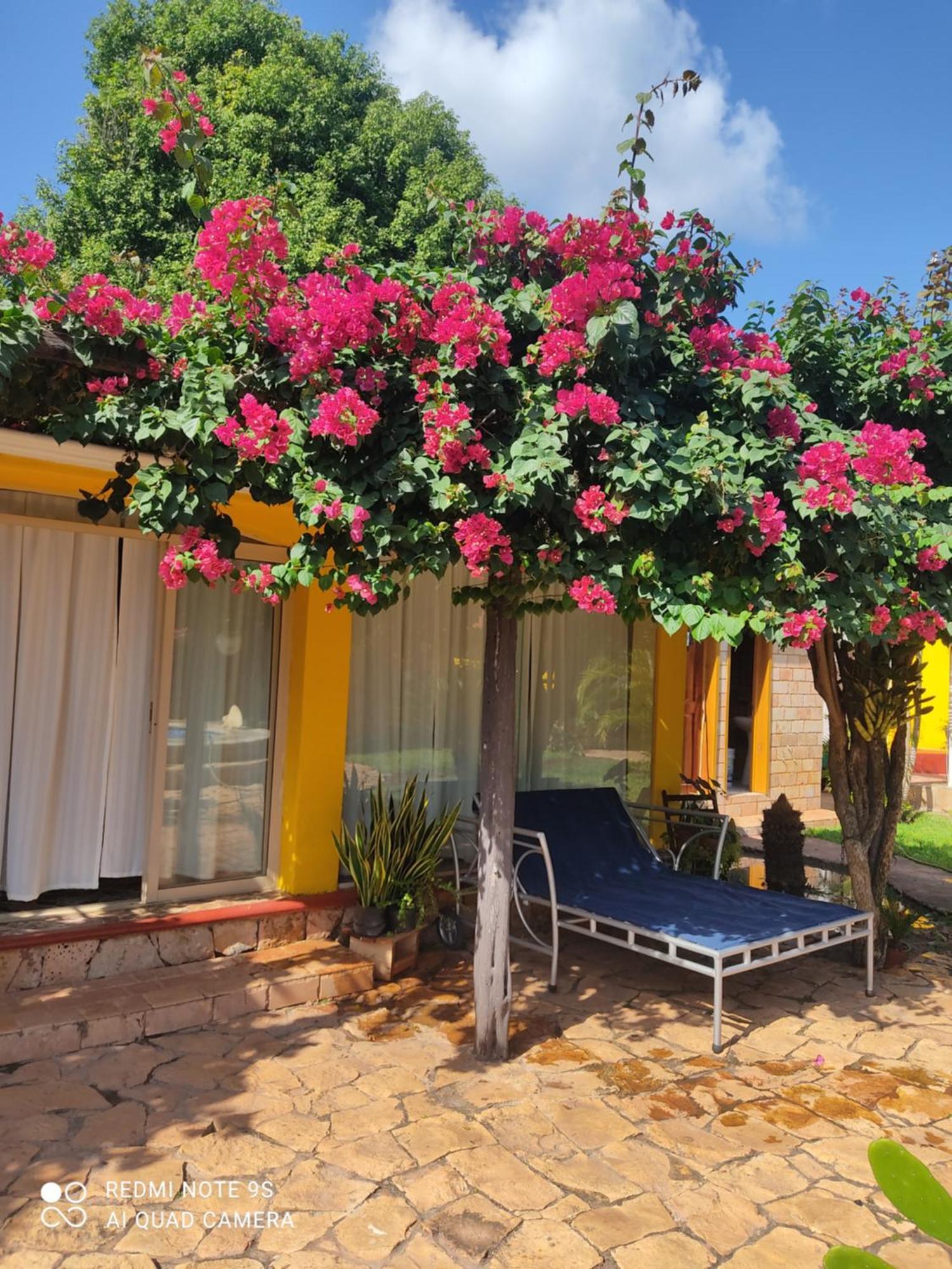 Quinta Rosita Bed & Breakfast Ticul Luaran gambar