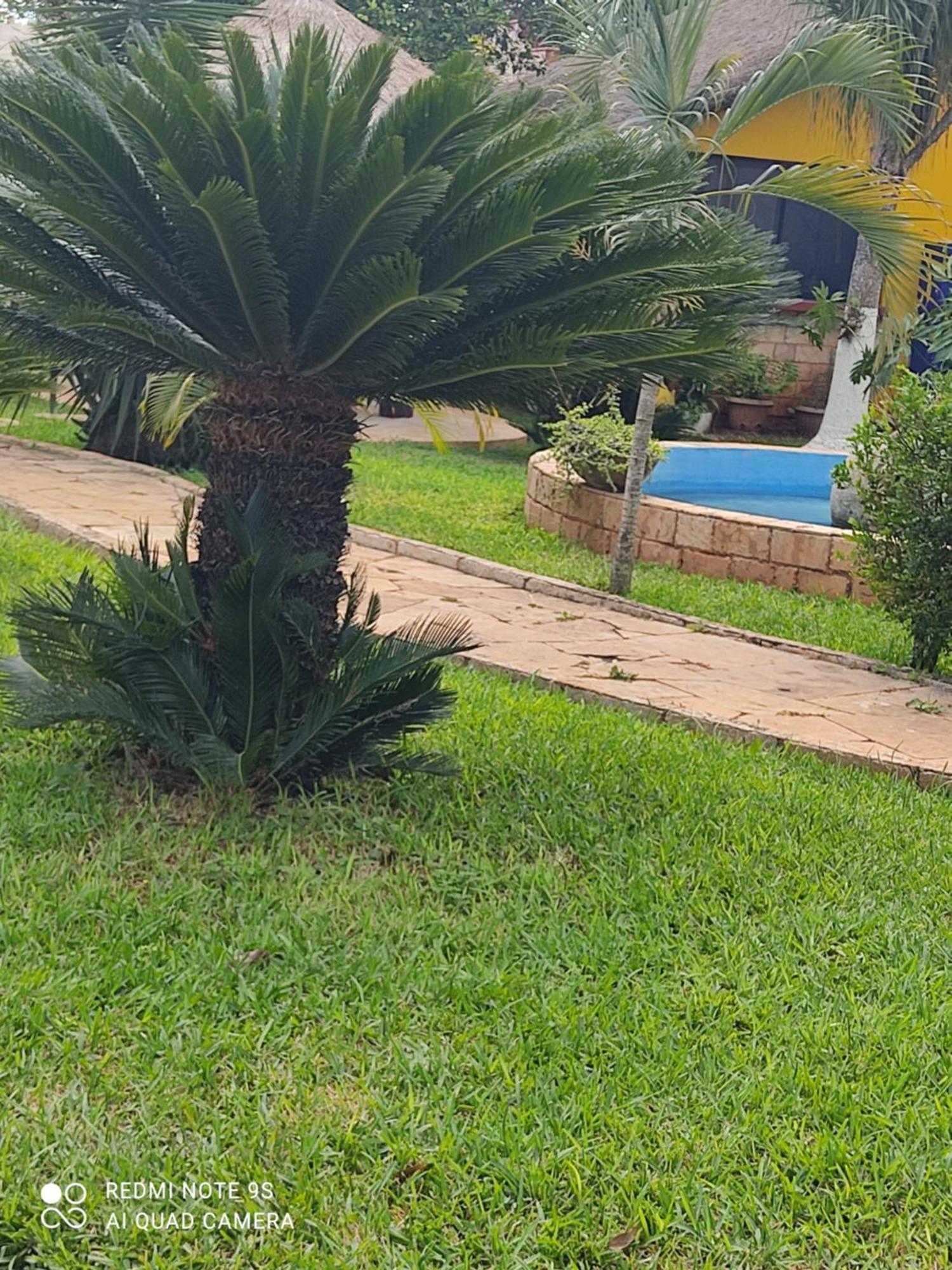 Quinta Rosita Bed & Breakfast Ticul Luaran gambar