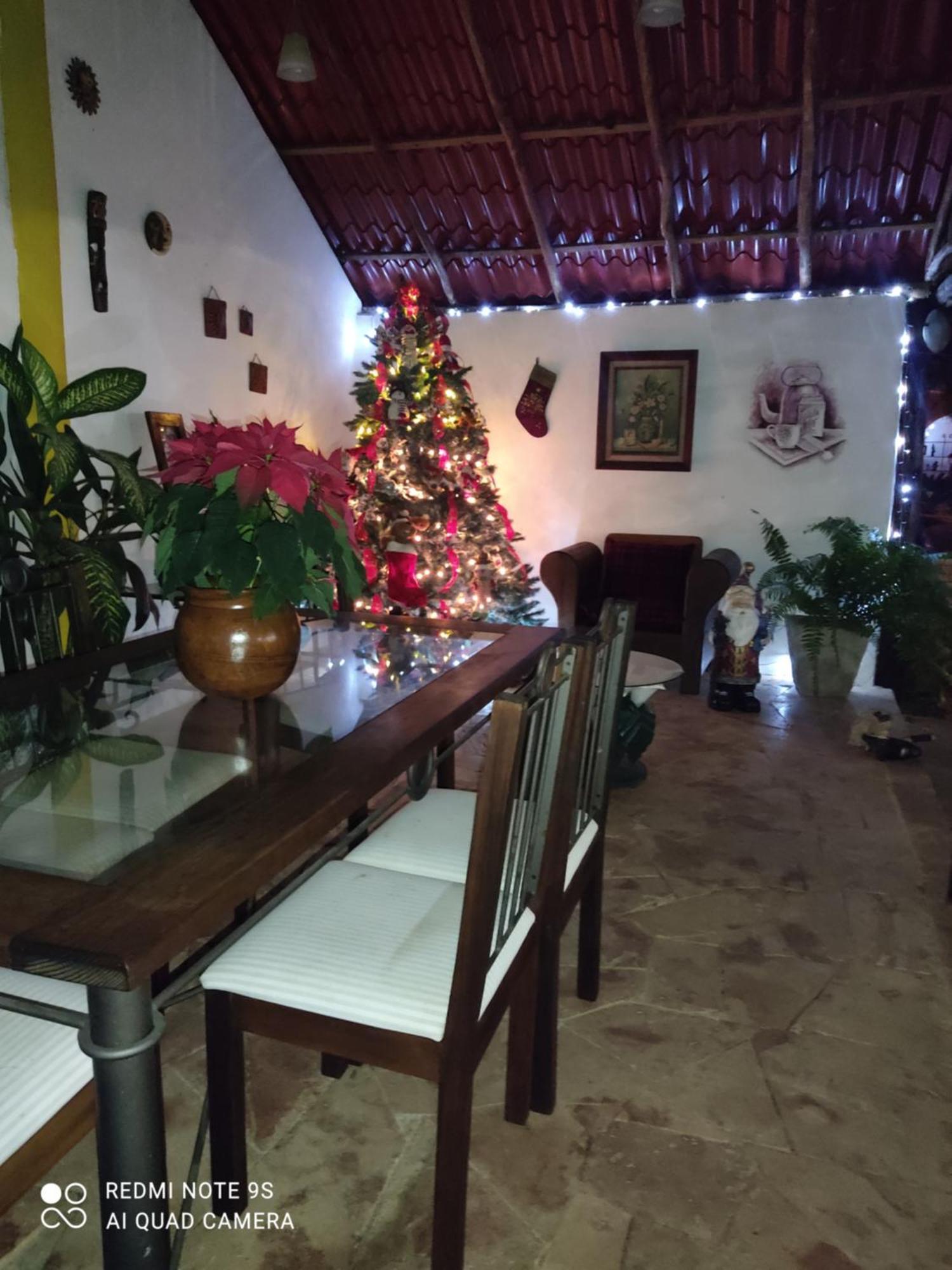 Quinta Rosita Bed & Breakfast Ticul Luaran gambar