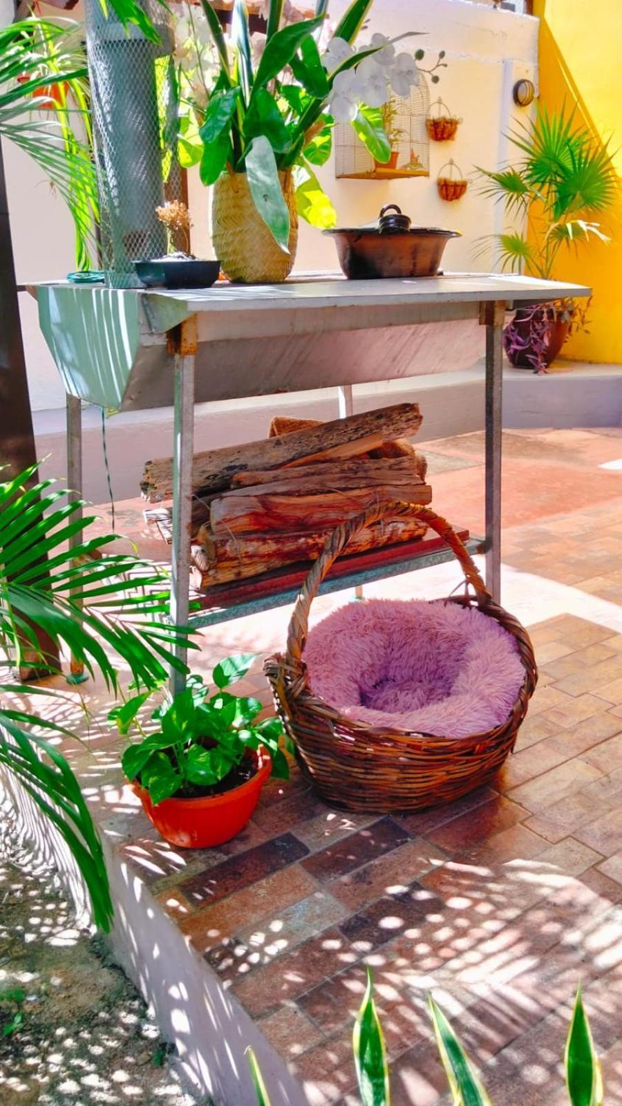 Quinta Rosita Bed & Breakfast Ticul Luaran gambar