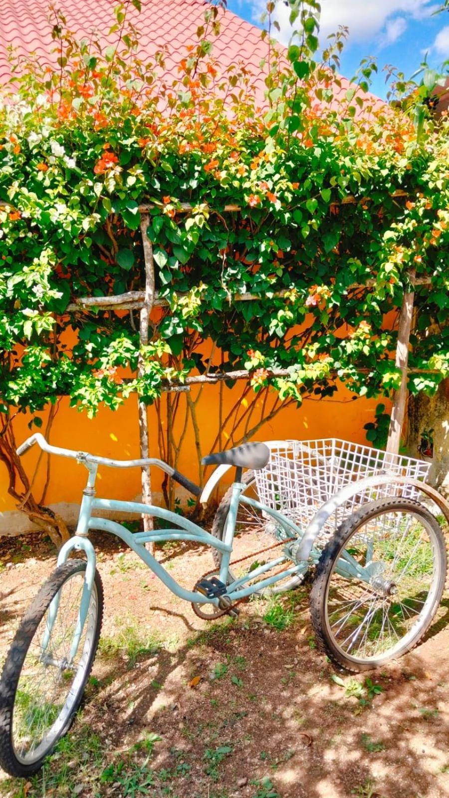 Quinta Rosita Bed & Breakfast Ticul Luaran gambar