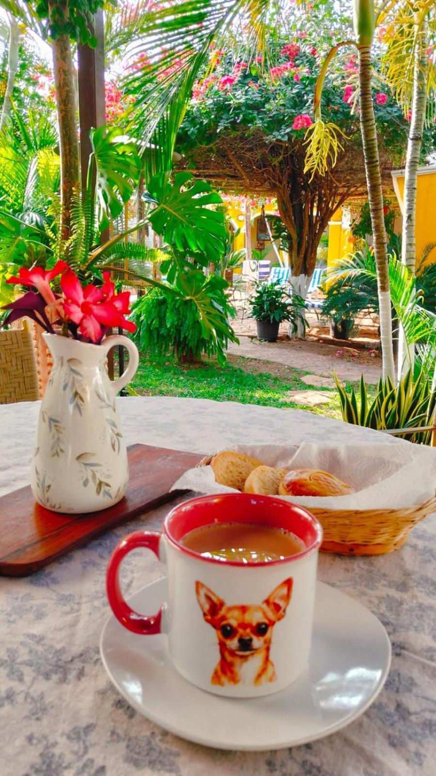 Quinta Rosita Bed & Breakfast Ticul Luaran gambar